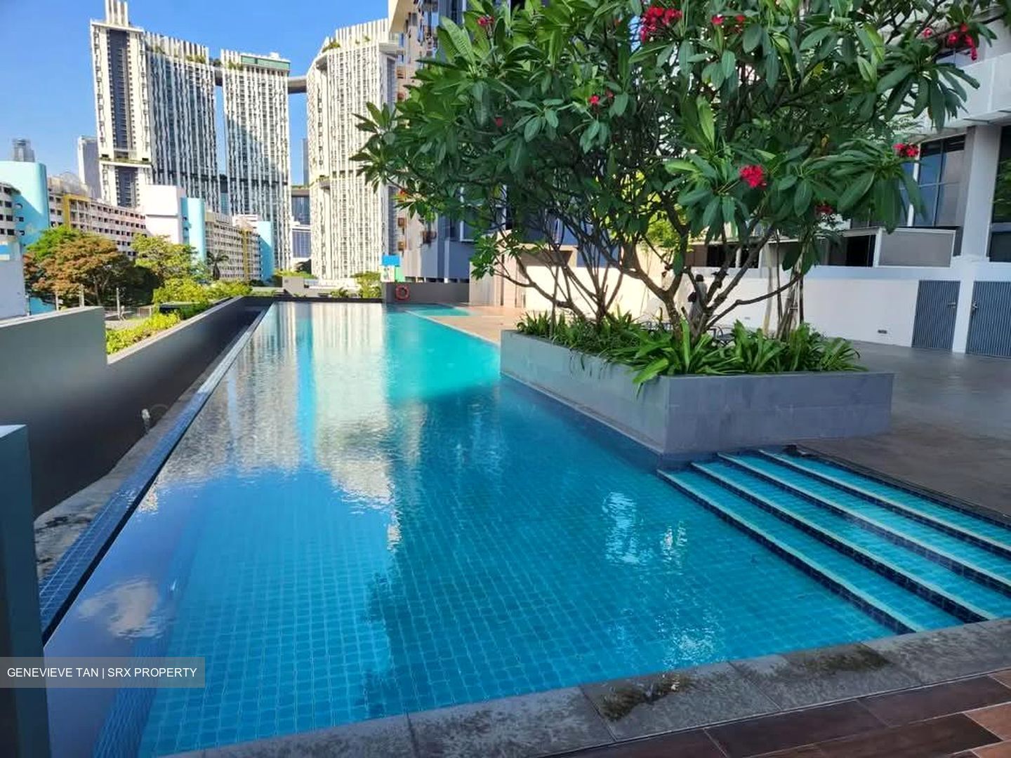 Spottiswoode 18 (D2), Apartment #565654431